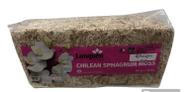 Musgo esfagno Chileno - 150g ideal para orquídeas e plantas carnívoras.