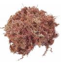 Musgo Esfagno Organico Substrato Para Orquídeas Plantas Flores Bonsais Terrários 5 Litros