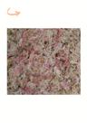 Musgo Esfagno Sfagno Sphagnum (rosa) 200g
