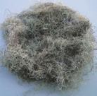 Musgo para Orquideas e Decoração Substrato Kokedama 400 gms