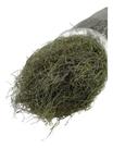 Musgo Seco Barba De Bode Saco Grande Com Aprox. 400 Gramas