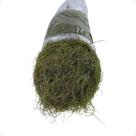 Musgo Seco Barba De Bode Saco Grande Com Aprox. 400 Gramas