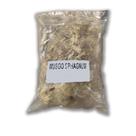 Musgo sphagnum 40 gr- mogifertil