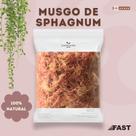 Musgo Sphagnum 400g (10Lts) para Orquídeas, Suculentas, Jardinagem, Substrato e Retenção de Umidade