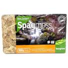 Musgo Sphagnum Besgrow Premium da Nova Zelândia - 100g (8L hidratado) Musgo Sphagnum Besgrow Premium da Nova Zelândia - 100g (8L hidratado)