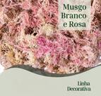 Musgo sphagnum rosa plantas orquideas artesanato arranjos 50 litros Gold Plant