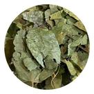 Mutamba Folha 100g (Erva Desidratada)