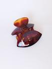 N 3821422001 Prendedor Medio 7,0x4,0cm Tartaruga De Acetato Musa Kalliopi