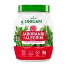 Nazca Creme Tratamento Origem 1kg 3 em 1 Jaborandi e Alecrim