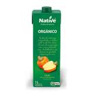 Néctar de Caju Orgânico Native 1l