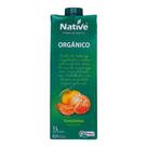 Néctar Orgânico de Tangerina Native 1l