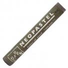 Neopastel Caran dAche 049 Raw Umber