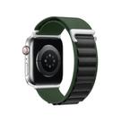 NERDCASE, Pulseira Alpinista Nylon, Compatível com Apple Watch Series 1 a 9, 42/44/45/49mm, Verde