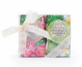 Nesti Dante Kit Sabonete With Love Care Figo e Peônia 2x250g Nesti Dante Kit Sabonete With Love Care Figo e Peônia 2x250g