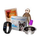 Nexgard Antipulgas Cães 4,1 A 10KG C/3 Comprimidos + Surpresa Nexgard Antipulgas Cães 4,1 A 10KG C/3 Comprimidos + Surpresa
