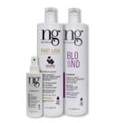 Ng De France Kit Fast Liss 1L + Spray Thermo + Sh. Silver 1L