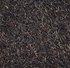 Niger 1Kg Niger 1Kg