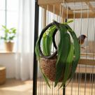 Ninho Bola Fibra de Coco Picotada para Coleiro - Conforto e Naturalidade Ninho Bola Fibra de Coco Picotada para Coleiro - Conforto e Naturalidade