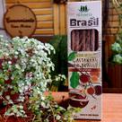 Nirvana Brasil Castanhas do Brasil