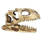 Nomoypet ns-98 cranio dinossauro 18x5,5x11cm Nomoypet ns-98 cranio dinossauro 18x5,5x11cm