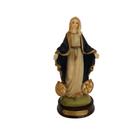 Nossa Senhora das Graças Medalha Milagrosa Resina Importada. Nossa Senhora das Graças Medalha Milagrosa Resina Importada.