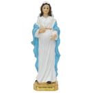 Nossa Senhora Gravida 20,3cm de Resina Nossa Senhora Gravida 20,3cm de Resina