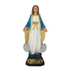 Nossa senhora medalha milagrosa em resina Nossa senhora medalha milagrosa em resina