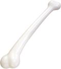 Novidades do Costume Forum Prehistoric Caveman Cavewoman Bone Novidades do Costume Forum Prehistoric Caveman Cavewoman Bone