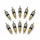 Nucleo de Valvula R12 Pacote com 10 peças Nucleo de Valvula R12 Pacote com 10 peças