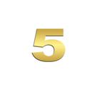 Número 5 Potência Para Scania NTG Inox Dourado