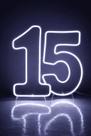 Números 15 Led Neon Branco Quente ou Frio Festa 50x25cm -