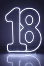 Números 18 Led Neon Branco Quente ou Frio Festa 50x25cm -