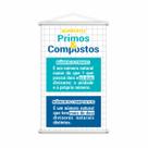 Números Primos e Compostos Banner Escolar Pedagógico 80x50cm