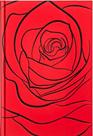 O Amor nos Tempos do Cólera - Livro Gabriel Garcia Marquez - Editora Record