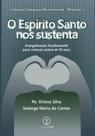 O Espírito Santo nos Sustenta : Evangelização Fundamental para crianças acima de 10 anos