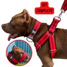 O melhor kit Para Cachorro Coleira Peitoral Focinheira Pet Pitbull Golden Pastor Alemão Rottweiler