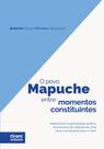 O Povo Mapuche Entre Momentos Constituintes O Povo Mapuche Entre Momentos Constituintes