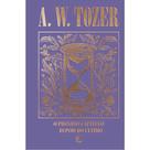 O próximo capítulo depois do último Capa Dura Luxo A. W. Tozer