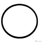 O ring Anel de Vedação 151,77mm x 5,33mm PF-22 Dancor Motobomba O ring Anel de Vedação 151,77mm x 5,33mm PF-22 Dancor Motobomba