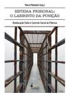 O sistema prisional: o labirinto da punição
