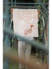 O sonho caminha pelo corpo