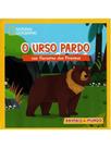 O urso pardo nas florestas dos pirenéus