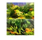 Ocean Tech Painel De Fundo P/ Aquario C02/c10 40cm - Metro