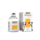 Ocitocina Forte Ucbvet 50ml Injetável Lactação E Prevenção de Mastites Ocitocina Forte Ucbvet 50ml Injetável Lactação E Prevenção de Mastites
