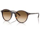 Óculos De Sol Bernard Evolution Havana RB2230 90251-53