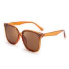 Óculos de sol FEISEDY Oversized Polarized Square B2600 Jacinth