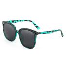 Óculos de sol FEISEDY Vintage Polarized Oversize Square 58mm Óculos de sol FEISEDY Vintage Polarized Oversize Square 58mm