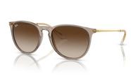 Óculos De Sol Feminino Ray-Ban Erika RB4171 6744/13 54