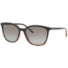 Óculos de Sol Feminino Ray-Ban RB4350L 65388G 56
