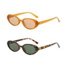 Óculos De Sol Femininos Pequenos Em Forma De Elipse Multicoloridos UV400, Óculos De Moda Com Rivets,